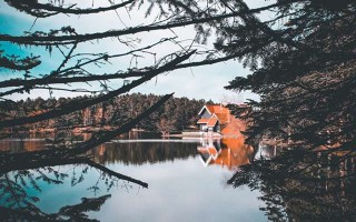  东升农场，绿色农业的璀璨明珠
