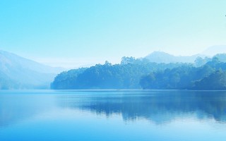 小刘固农场，革新种植技术，引领农业新风尚